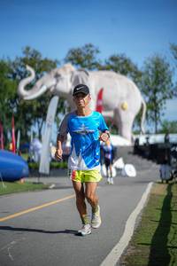 BIB: 
                            <button type="button" onclick="openModal(26542572)" class="btn btn-primary btn-sm float-right btn-popup" data-toggle="modal" data-target=".modal-high-quality">
                        <i class="fas fa-shopping-cart"></i> Add to Cart
                    </button>
                                            <button type="button" onclick="isThisMe(26542572, true)" class="btn btn-success btn-sm float-right btn-popup btn-isme hidden" data-toggle="tooltip" data-placement="bottom" title="นี่คือรูปของคุณใช่ไหม คลิกที่นี่เพื่อเอาเข้าอัลบั้ม">
                        <i class="fas fa-plus"></i> Add to album
                    </button>
                    <button type="button" onclick="isThisMe(26542572, false)" class="btn btn-warning btn-sm float-right btn-popup btn-isnotme hidden">
                        <i class="fas fa-ban"></i> Remove from album
                    </button>